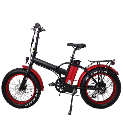 big tyre electric bike